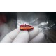 * Herpa Cars 066549  (Pack of two) Mercedes-Benz B-Klasse "Police / fire department"