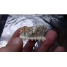 * EuroAgent 161606UA Lorry or Wagon Load Real Stone on a Wooden Frame HO / 00 Scale